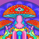 Dreamer Shrooms