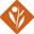 Environ Skincare