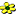 Flower.com Flowers