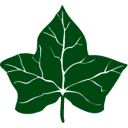 Ivy Sport