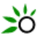 Olofly (US)