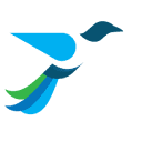 WealthFluent (US)